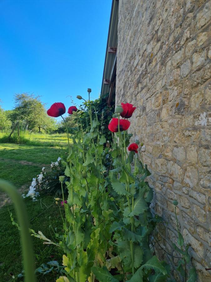 Bed and Breakfast Domaine De La Cour Vautier Mandeville-en-Bessin Exterior foto