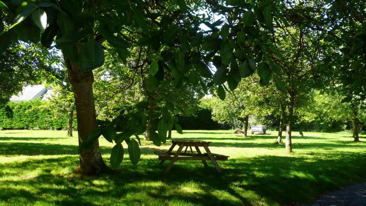 Bed and Breakfast Domaine De La Cour Vautier Mandeville-en-Bessin Exterior foto
